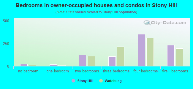 Bedrooms in owner-occupied houses and condos in Stony Hill