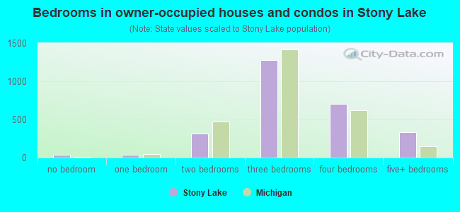 Bedrooms in owner-occupied houses and condos in Stony Lake