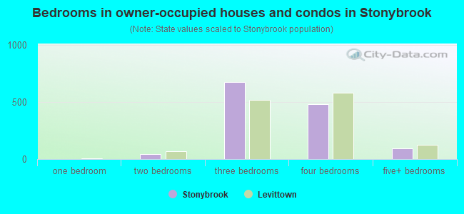 Bedrooms in owner-occupied houses and condos in Stonybrook