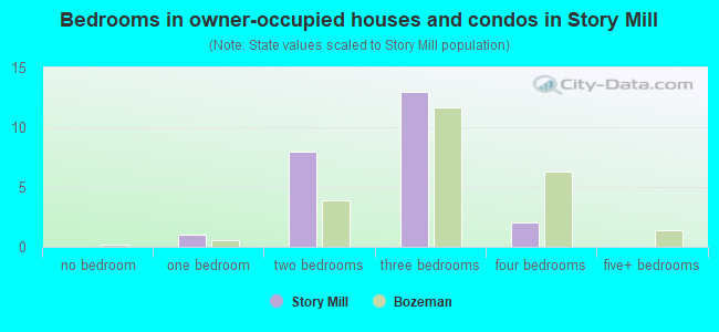 Bedrooms in owner-occupied houses and condos in Story Mill