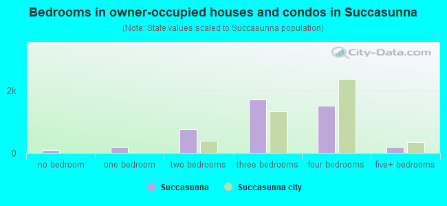 Bedrooms in owner-occupied houses and condos in Succasunna