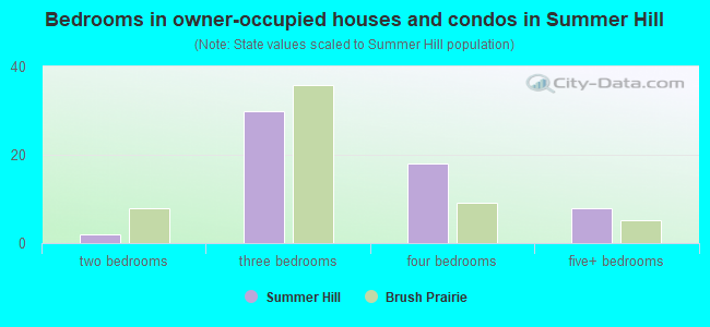 Bedrooms in owner-occupied houses and condos in Summer Hill