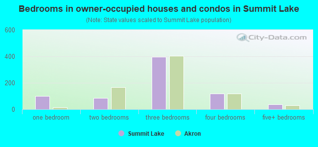 Bedrooms in owner-occupied houses and condos in Summit Lake