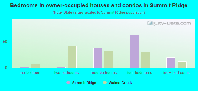 Bedrooms in owner-occupied houses and condos in Summit Ridge