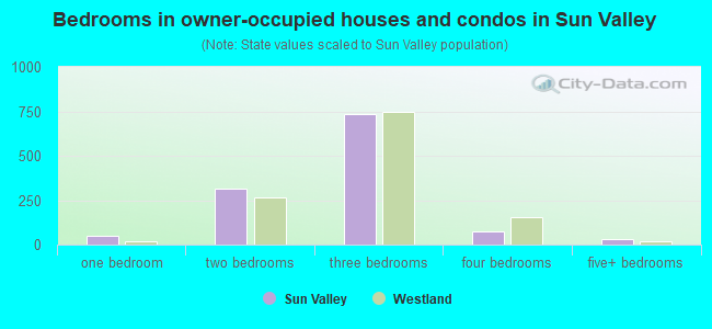 Bedrooms in owner-occupied houses and condos in Sun Valley