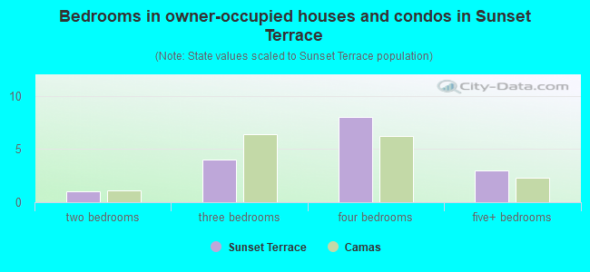 Bedrooms in owner-occupied houses and condos in Sunset Terrace