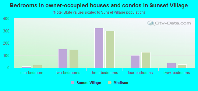 Bedrooms in owner-occupied houses and condos in Sunset Village
