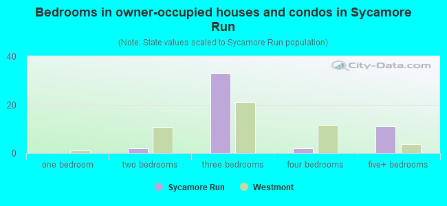 Bedrooms in owner-occupied houses and condos in Sycamore Run