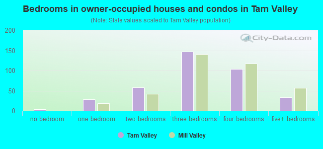 Bedrooms in owner-occupied houses and condos in Tam Valley