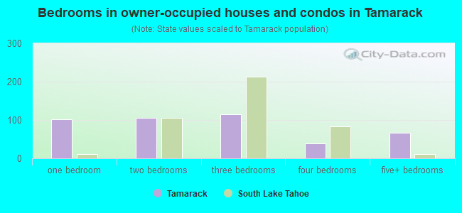 Bedrooms in owner-occupied houses and condos in Tamarack