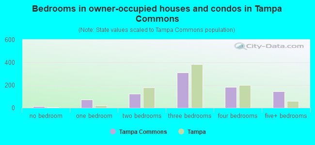 Bedrooms in owner-occupied houses and condos in Tampa Commons