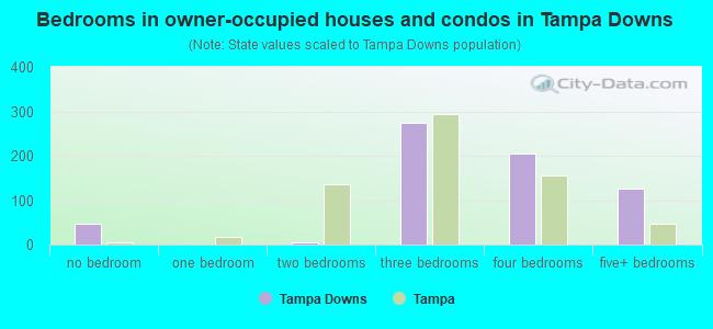 Bedrooms in owner-occupied houses and condos in Tampa Downs