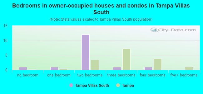 Bedrooms in owner-occupied houses and condos in Tampa Villas South