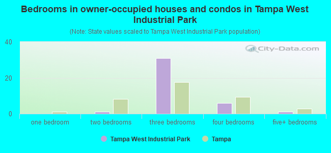 Bedrooms in owner-occupied houses and condos in Tampa West Industrial Park
