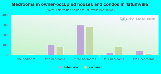 Bedrooms in owner-occupied houses and condos in Tatumville