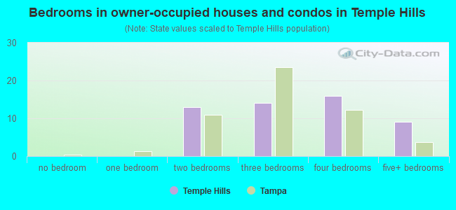 Bedrooms in owner-occupied houses and condos in Temple Hills