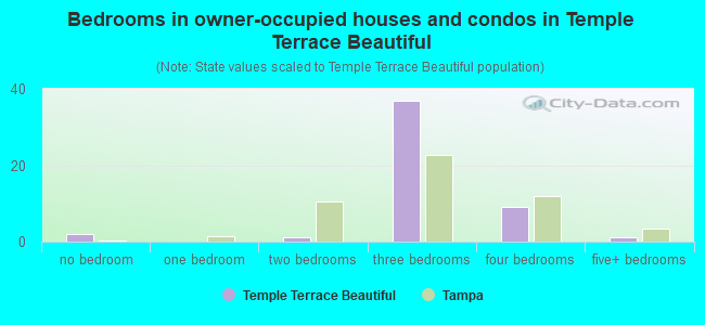 Bedrooms in owner-occupied houses and condos in Temple Terrace Beautiful