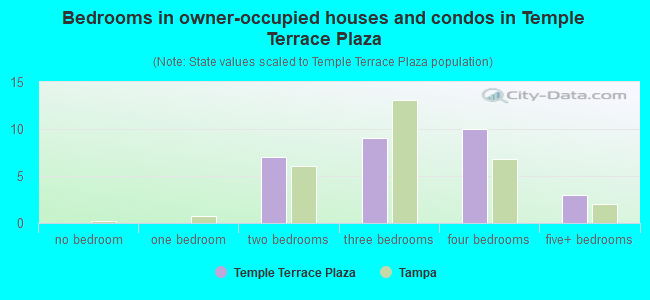 Bedrooms in owner-occupied houses and condos in Temple Terrace Plaza