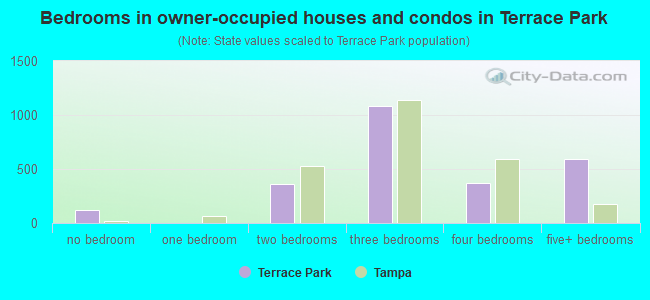 Bedrooms in owner-occupied houses and condos in Terrace Park