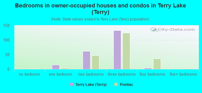 Bedrooms in owner-occupied houses and condos in Terry Lake (Terry)