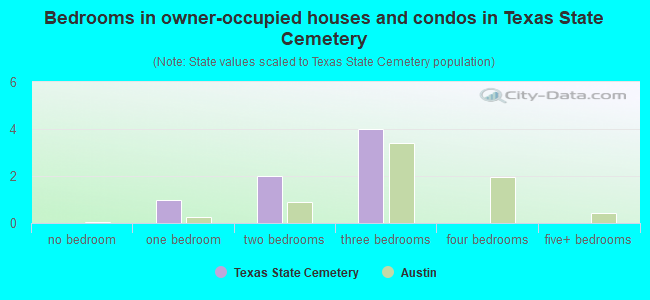 Bedrooms in owner-occupied houses and condos in Texas State Cemetery