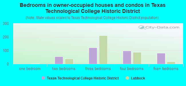 Bedrooms in owner-occupied houses and condos in Texas Technological College Historic District