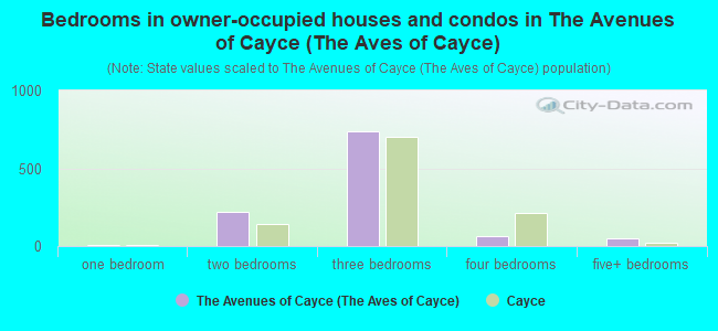 Bedrooms in owner-occupied houses and condos in The Avenues of Cayce (The Aves of Cayce)