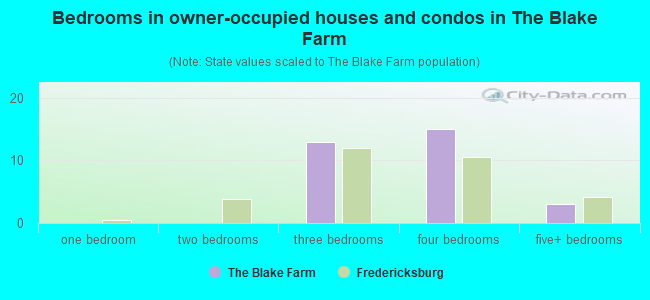 Bedrooms in owner-occupied houses and condos in The Blake Farm