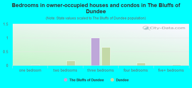 Bedrooms in owner-occupied houses and condos in The Bluffs of Dundee