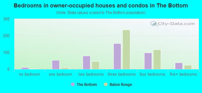 Bedrooms in owner-occupied houses and condos in The Bottom