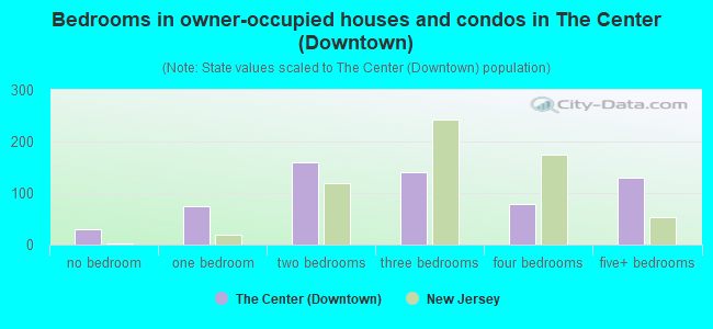 Bedrooms in owner-occupied houses and condos in The Center (Downtown)