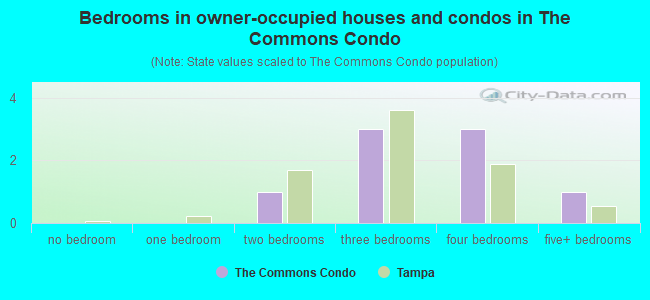 Bedrooms in owner-occupied houses and condos in The Commons Condo