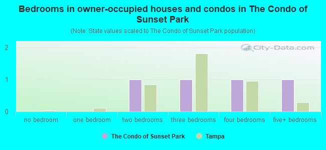 Bedrooms in owner-occupied houses and condos in The Condo of Sunset Park