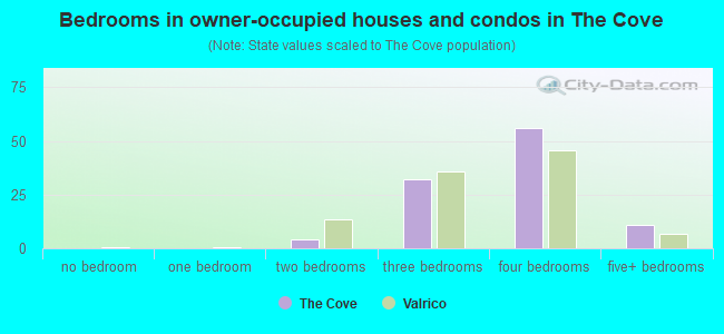 Bedrooms in owner-occupied houses and condos in The Cove