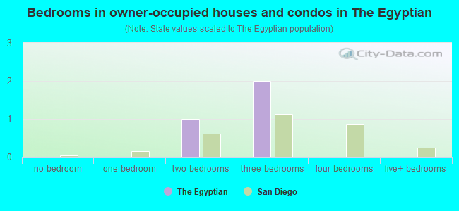 Bedrooms in owner-occupied houses and condos in The Egyptian