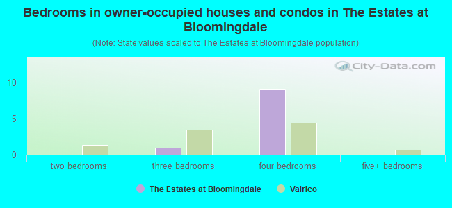 Bedrooms in owner-occupied houses and condos in The Estates at Bloomingdale