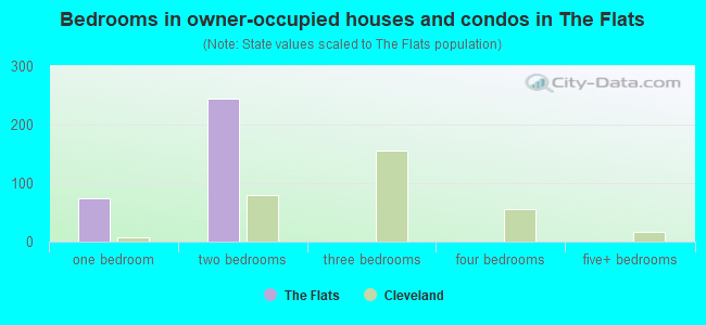 Bedrooms in owner-occupied houses and condos in The Flats