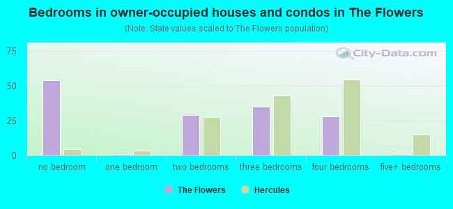 Bedrooms in owner-occupied houses and condos in The Flowers