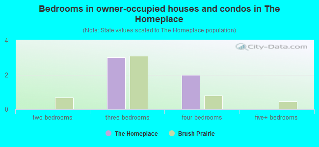 Bedrooms in owner-occupied houses and condos in The Homeplace