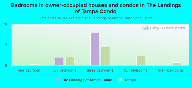 Bedrooms in owner-occupied houses and condos in The Landings of Tampa Condo