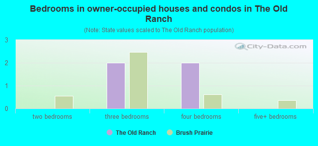 Bedrooms in owner-occupied houses and condos in The Old Ranch