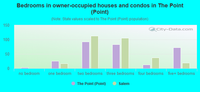 Bedrooms in owner-occupied houses and condos in The Point (Point)