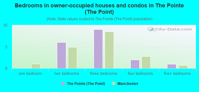 Bedrooms in owner-occupied houses and condos in The Pointe (The Point)