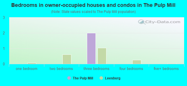 Bedrooms in owner-occupied houses and condos in The Pulp Mill