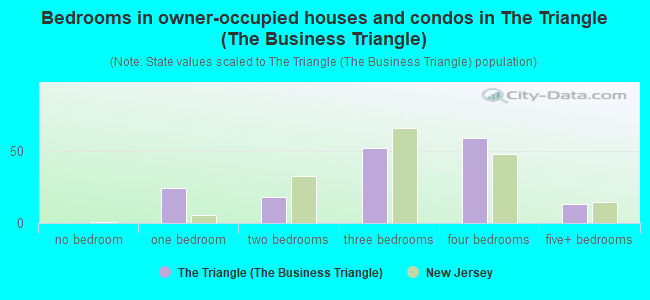 Bedrooms in owner-occupied houses and condos in The Triangle (The Business Triangle)