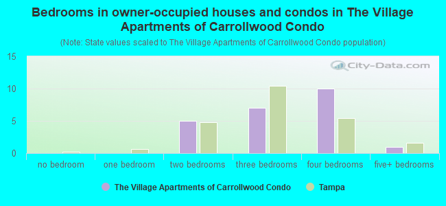 Bedrooms in owner-occupied houses and condos in The Village Apartments of Carrollwood Condo