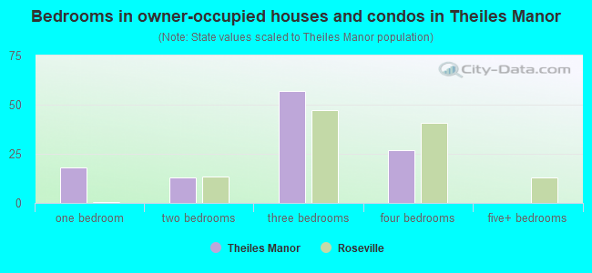 Bedrooms in owner-occupied houses and condos in Theiles Manor