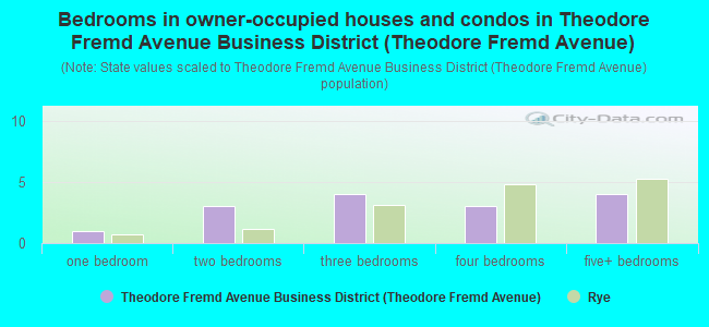 Bedrooms in owner-occupied houses and condos in Theodore Fremd Avenue Business District (Theodore Fremd Avenue)
