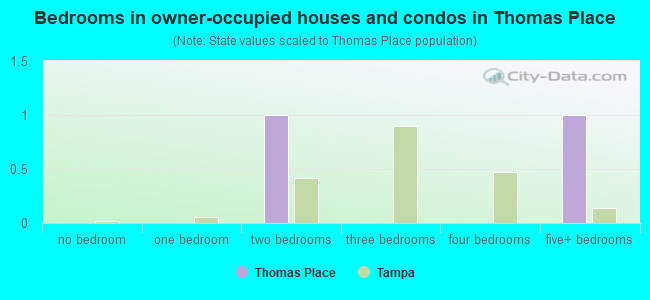 Bedrooms in owner-occupied houses and condos in Thomas Place