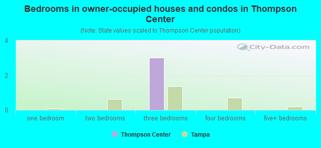 Bedrooms in owner-occupied houses and condos in Thompson Center
